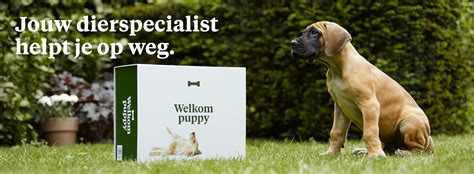 welkoop website